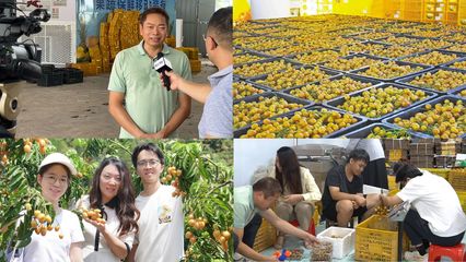 【百千萬(wàn)工程】央視聚焦的81億產(chǎn)業(yè)如何破圈？廣東白云學(xué)院用“AI+非遺基因庫(kù)”給出答案